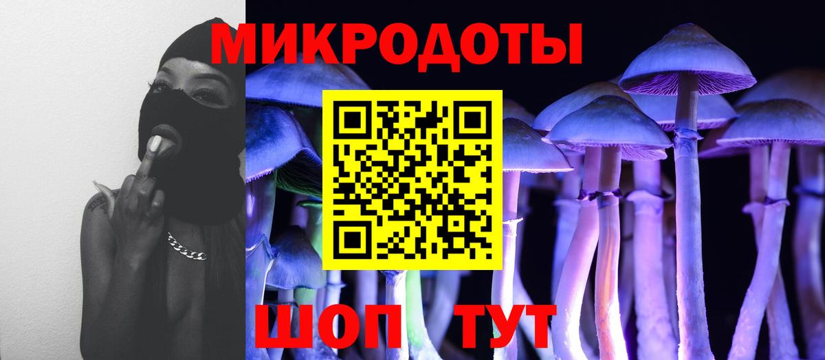 Псилоцибиновые грибы Cubensis  наркошоп  Псилоцибиновые грибы Psilocybine cubensis  Юрга  Вход с VPN 
